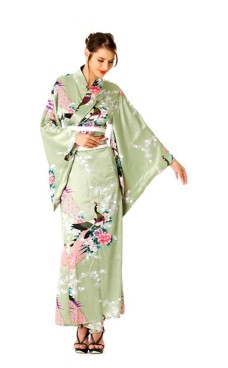 Grön Kimono Klänning