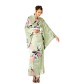 Grön Kimono Klänning